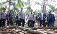 Polisi Amankan 140 Ton Arang Bakau Rupat Hendak Diselundupkan ke Malaysia