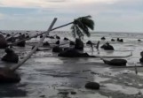 Jangan Tunggu Meranti Tenggelam