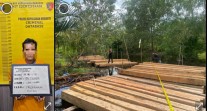 Penangkapan Terduga Illegal Logging di Meranti Ungkap Masalah Lama: Pengawasan Lemah, Mata Rantai Kayu Ilegal Masih Hidup