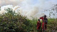 Karhutla Riau Membara, 803 Hektare Lahan Terbakar