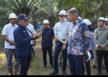 Dubes Uni Eropa Puji PalmCo : Sawit Indonesia Jadi Contoh Keberlanjutan Global