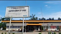 Penjarahan Kebun Cot Girek Rugikan Negara Rp62,6 Miliar, Ribuan Pekerja Kehilangan Penghasilan
