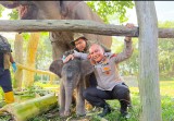 Hutan Tesso Nilo, Nona Seroja Membawa Harapan Baru bagi Gajah Sumatera