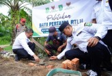 Rumah Reyot Kaswadi Kini Disulap Jadi Hunian Layak
