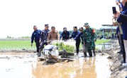 Menuju Swasembada Padi, Meranti Menanam Harapan Baru