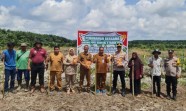 Dukung Ketahanan Pangan, Kapolsek dan Camat Pangkalan Kuras Tanam Jagung Pipil 4 Hektare di Desa Betung