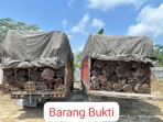 Polres Pelalawan Gagalkan Pengiriman 260 Batang Kayu Ilegal, Amankan Dua Orang Supir