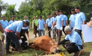 Momentum Idul Adha, PHR Zona 1 Tebar Manfaat untuk Masyarakat