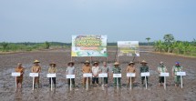 Siak Dapat Program Tanam Padi Serentak 70.000 Hektare
