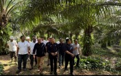 Kebun Tanah Putih, Mutiara PTPN IV Regional III di Batas Riau-Sumatera Utara