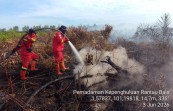 Karhutla Meluas di Riau, Rantau Bais Terbakar 70 Hektare, Manggala Agni Tambah Pasukan ke Rupat dan Bangko