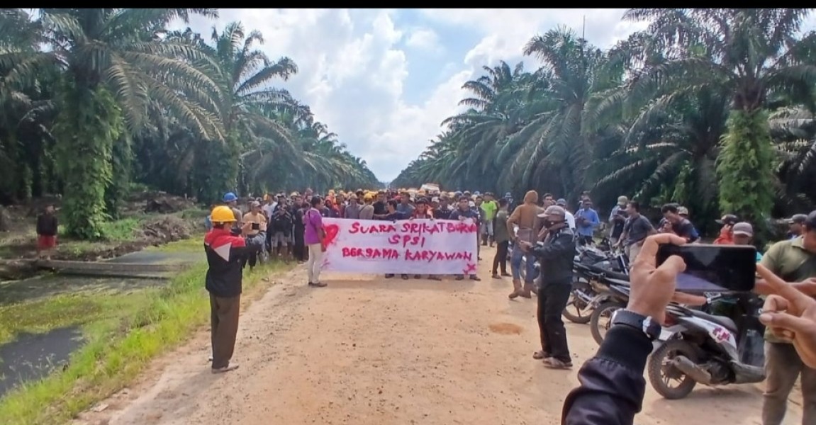Konflik Lahan di Pulau Rupat Memanas, Warga Blokade Jalan, Desak Pemerintah Cabut Izin PT Priatama Riau