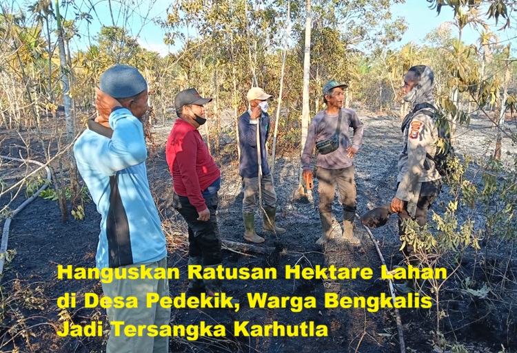 Hanguskan Ratusan Hektare Lahan di Desa Pedekik, Warga Bengkalis Jadi Tersangka Karhutla