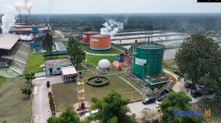 ROA PalmCo Tembus 7,9 Persen, Sinyal Penguatan Kinerja Aset BUMN Perkebunan