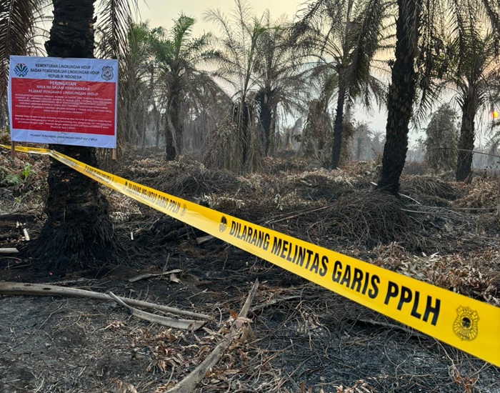 Imbas Karhutla, Kementerian Lingkungan Hidup Segel 4 Perusahaan dan Tutup 1 Pabrik Sawit.