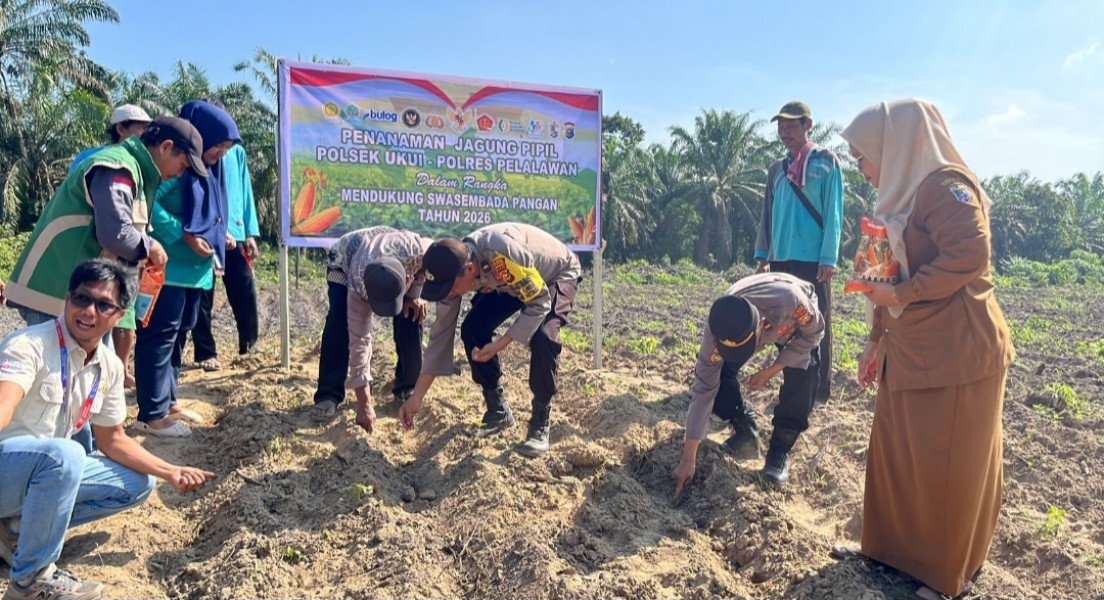 Polsek Ukui-PT RAPP Tanam Jagung Hibrida 3 Hektar di Air Hitam, Dukung Ketahanan Pangan