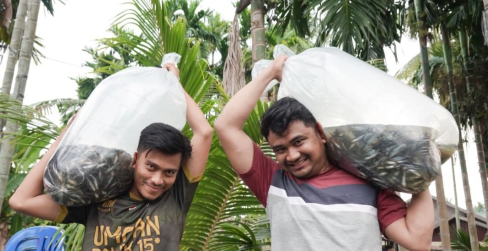 Kisah Feri Hamdan, Bangkitkan Semangat Kelompok Tunas Mandiri dalam Budidaya Ikan Patin
