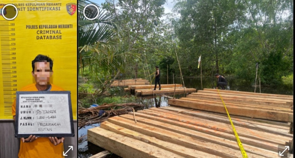 Penangkapan Terduga Illegal Logging di Meranti Ungkap Masalah Lama: Pengawasan Lemah, Mata Rantai Kayu Ilegal Masih Hidup