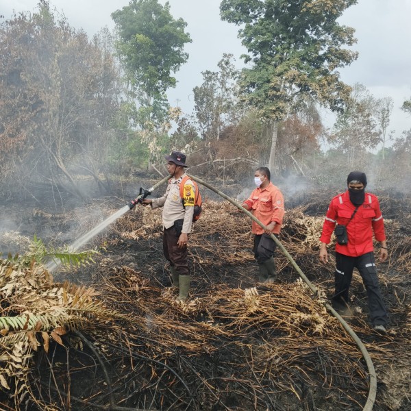 Polres Pelalawan dan Tim Lakukan Pendinginan Karhutla di Desa Sungai Ara
