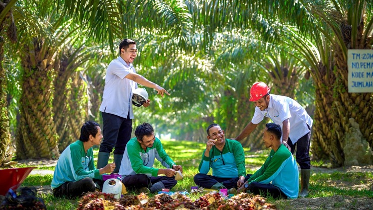 PalmCo Serap 70 Ribu Tenaga Kerja, Bidik Peluang Baru dari Hilirisasi Sawit