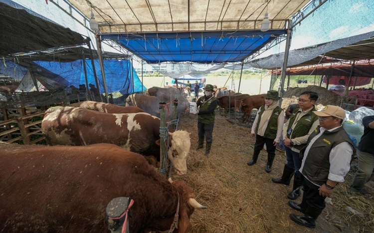 Pelindo Petikemas dan Pemkot Surabaya Pastikan Hewan Kurban Aman untuk Masyarakat Jelang Iduladha 1447 H