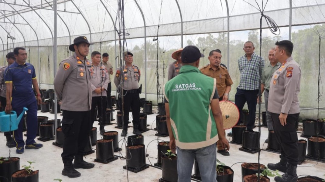 Polsek Pangkalan Kerinci Tanam Melon Madu di Green House, Dorong Ketahanan Pangan dari Markas Polisi