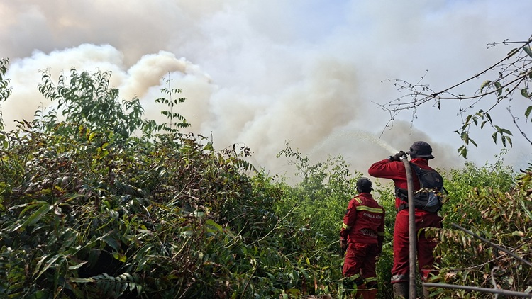 Karhutla Riau Membara, 803 Hektare Lahan Terbakar