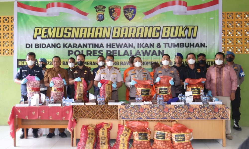 Polres Pelalawan Musnahkan Barang Bukti Bawang Merah dan Bombay