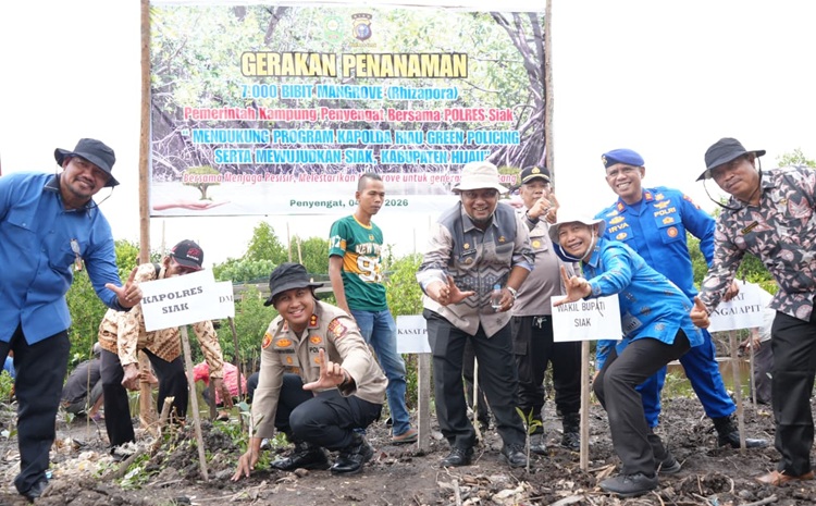 Polres Siak dan Warga Tanam 7.000 Mangrove di Pesisir Sungai Apit