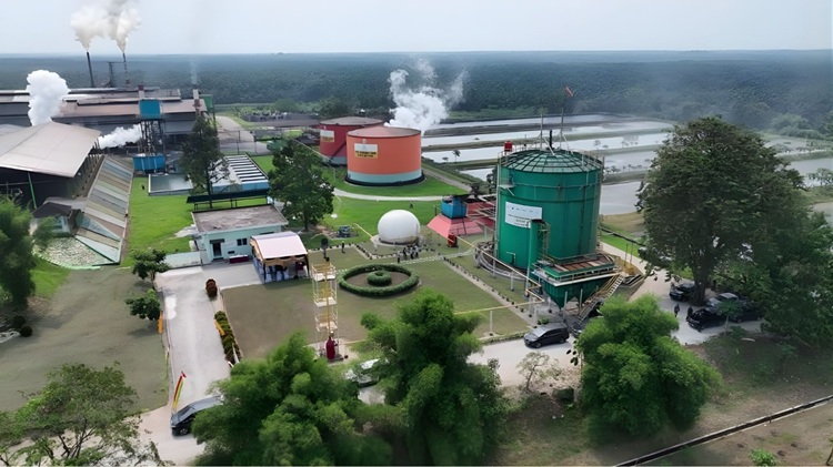 Siap Bangun 16 Pabrik CBG, PTPN IV PalmCo dan PT Renikola Buka Peluang Ribuan Green Jobs
