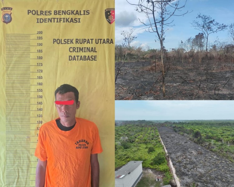 Polisi Tetapkan Satu Pelaku Karhutla di Rupat Utara, 35 Hektare Lahan Terbakar