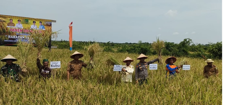 Rokan Hilir Catat Prestasi Nasional, Jadi Daerah Tercepat Cetak Sawah Baru di Indonesia