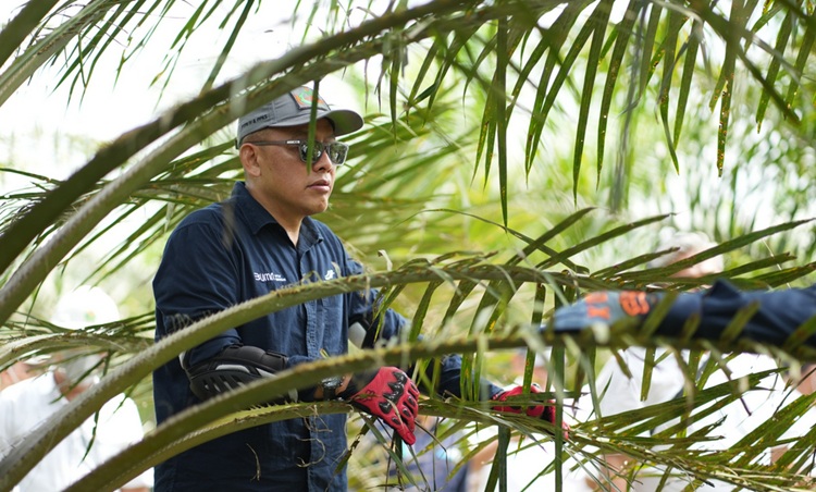 Siaga Kemarau, PTPN IV PalmCo Perkuat Deteksi Dini Karhutla dan Strategi Agronomi
