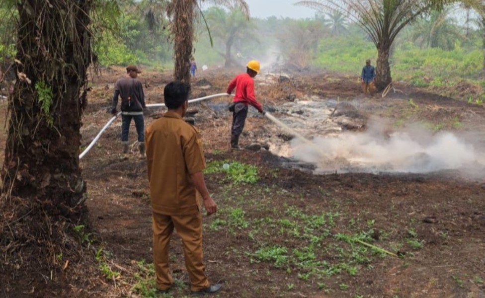 Personel Damkar PTPN IV Regional III Bantu Atasi Karhutla di Areal Masyarakat
