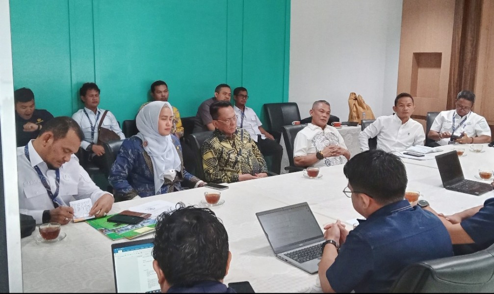 Percepat Penyaluran DBH, Bupati Rohil H. Bistamam Sambangi DJPK Kemenkeu RI