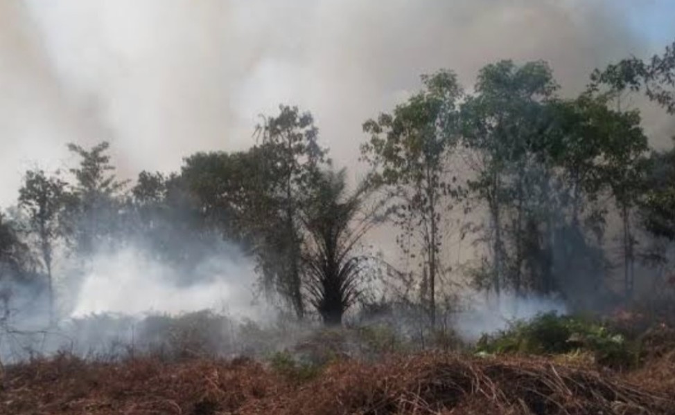 Polres Bengkalis Tetapkan Tersangka Karhutla di Bukit Batu