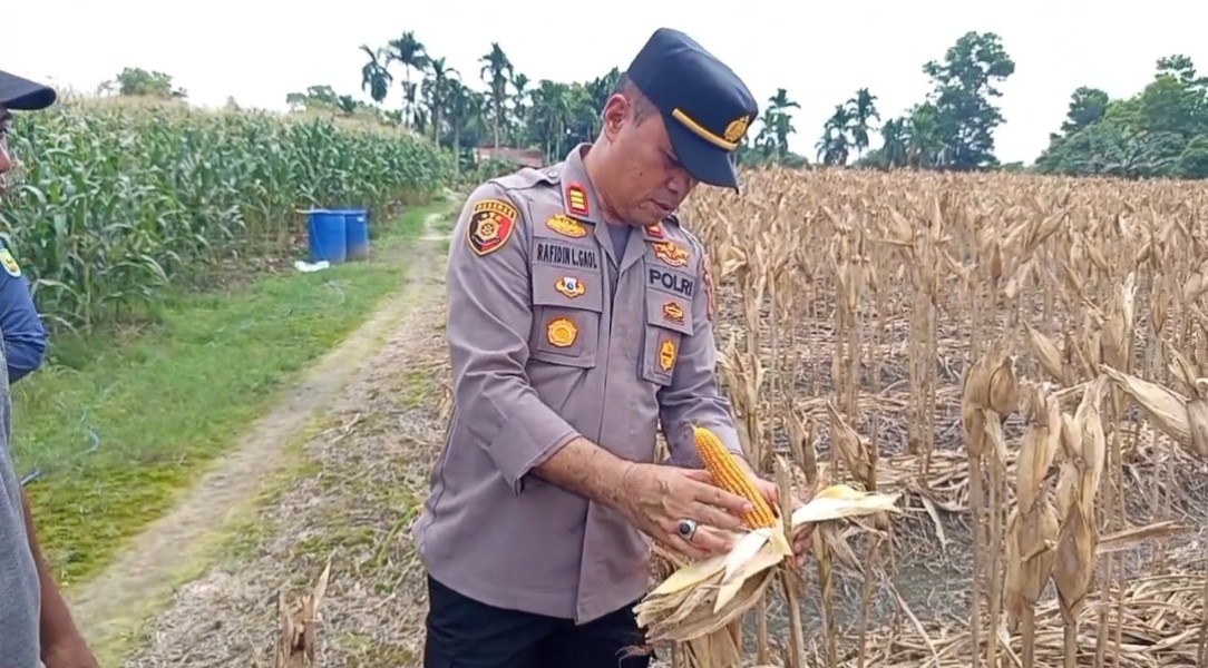 Polsek Payung Sekaki Perkuat Ketahanan Pangan, Dorong Sinergitas Masyarakat dan Instansi