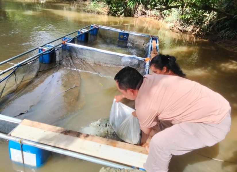 PTPN IV Regional III Stimulus Pemuda Tandun Kelola Potensi Sungai Tapung Wujudkan Kemandirian Ekonomi