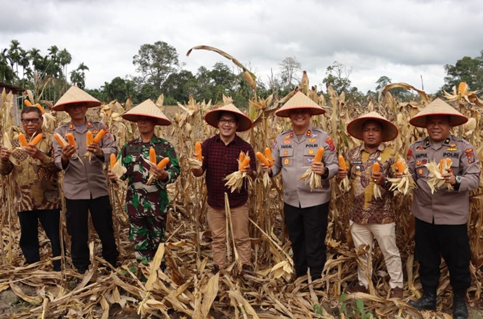 Polres Dairi Sukses Gelar Panen Raya Jagung Serentak, Bersama Presiden RI Melalui Zoom Meeting