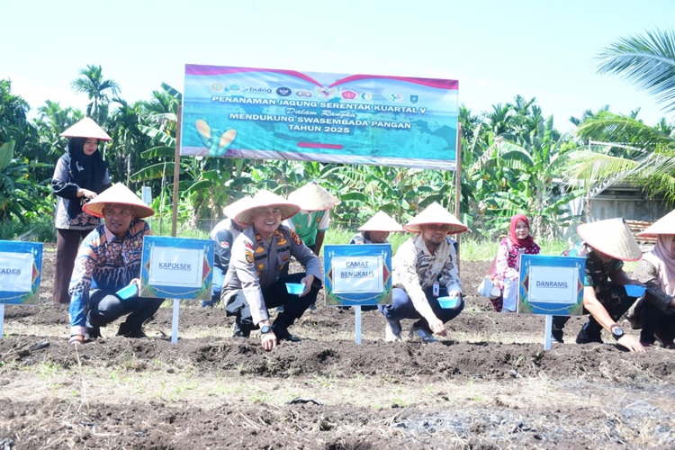 Penanaman Jagung Serentak di Bengkalis, Wujud Sinergi Polri dan Pemerintah Dukung Swasembada Pangan Nasional