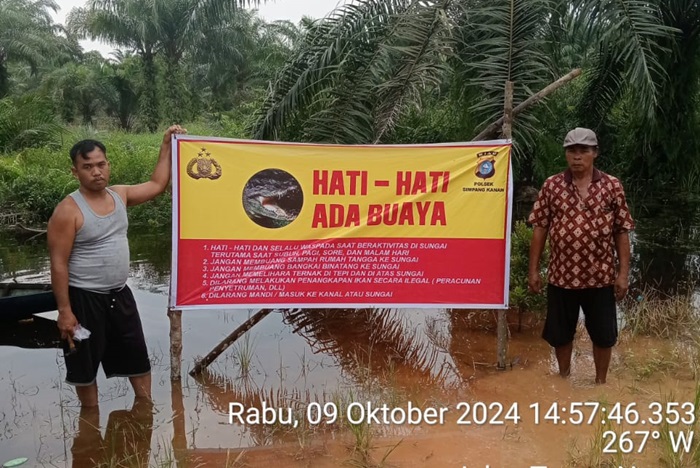 Spanduk Peringatan Awas Buaya Hiasi Anak Sungai di Rohil