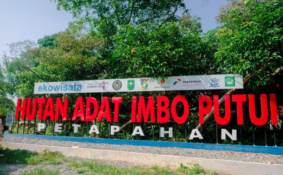 Hutan Adat Imbo Putui Suguhkan Keseimbangan Ekonomi dan Alam Berkelanjutan