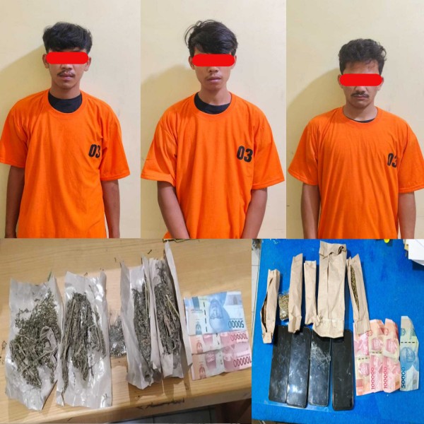 Polisi Ringkus 3 Pemuda Kepemilikan Ganja