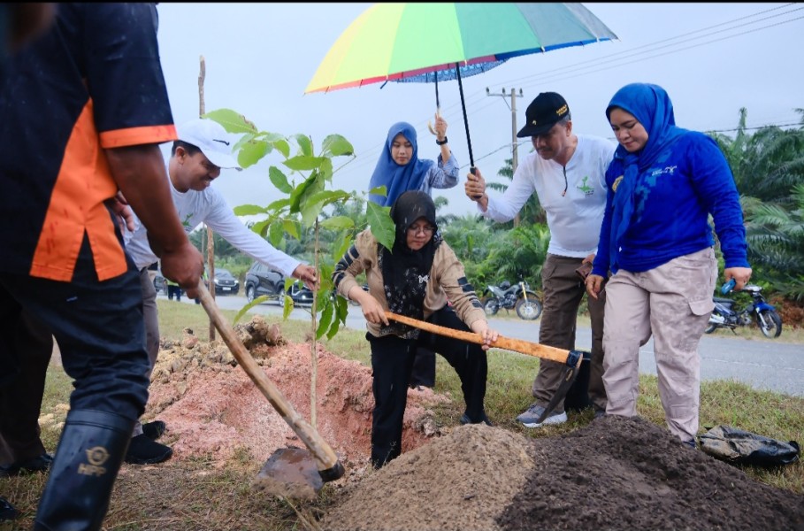Pemerintah Tanami 5.050 Pohon di Sepanjang 15 Km Jalan Siak-Dayun