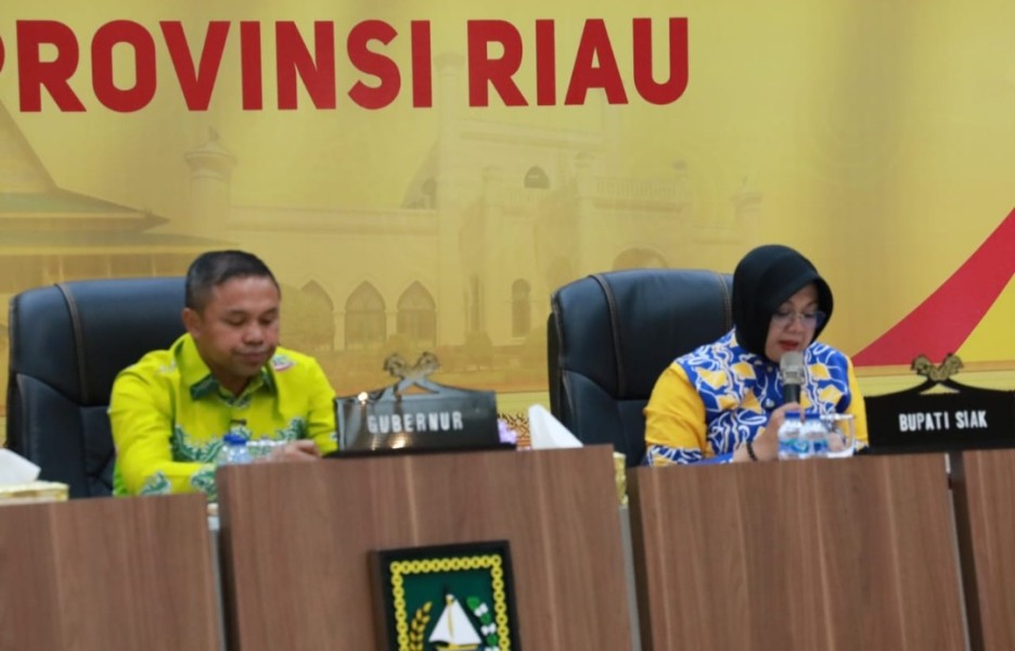 Perusahaan Diminta Tanggung Jawab, Jalan Minas-Perawang Rusak Parah