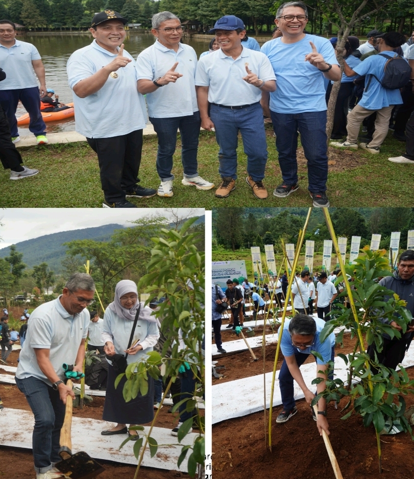 Aksi Nyata Selamatkan Bumi, PTPN I dan KLH Tanam Ribuan Pohon di Kawasan Gunung Mas