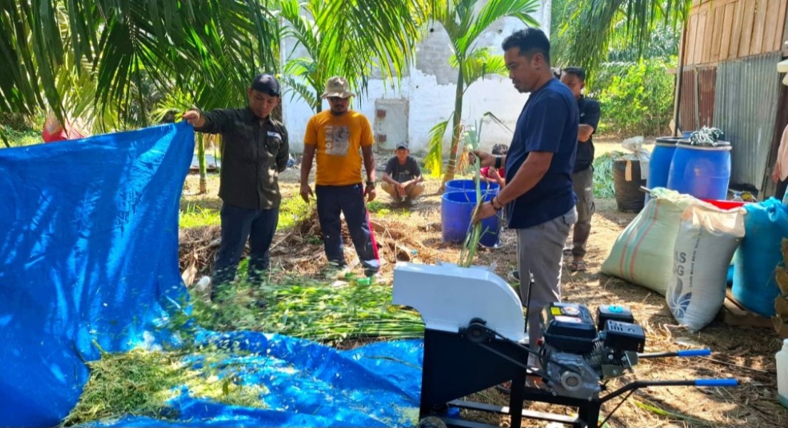 Pemuda Adat Suku Bonai Perkuat Kapasitas Peternakan Melalui Program Semarak Riau
