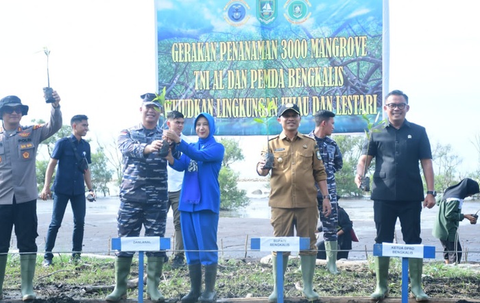 Wabup Bengkalis Bersama Danlanal Dumai Tanam 3000 Mangrove di Pantai Muntai