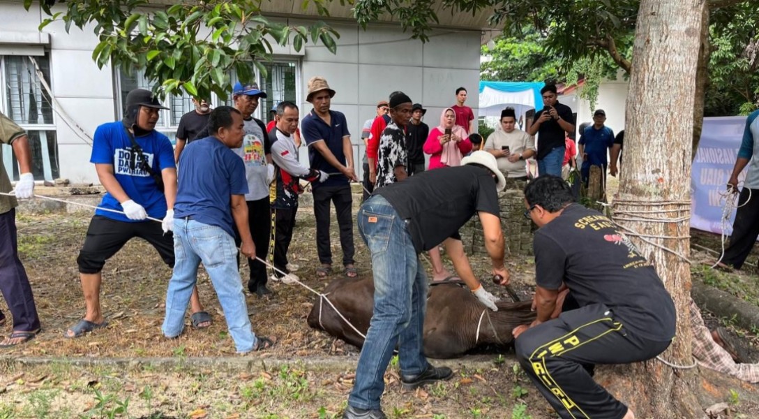 PWI Riau Sembelih 6 Sapi dan 1 Kambing, Perkuat Semangat Berbagi Iduladha 1447 H