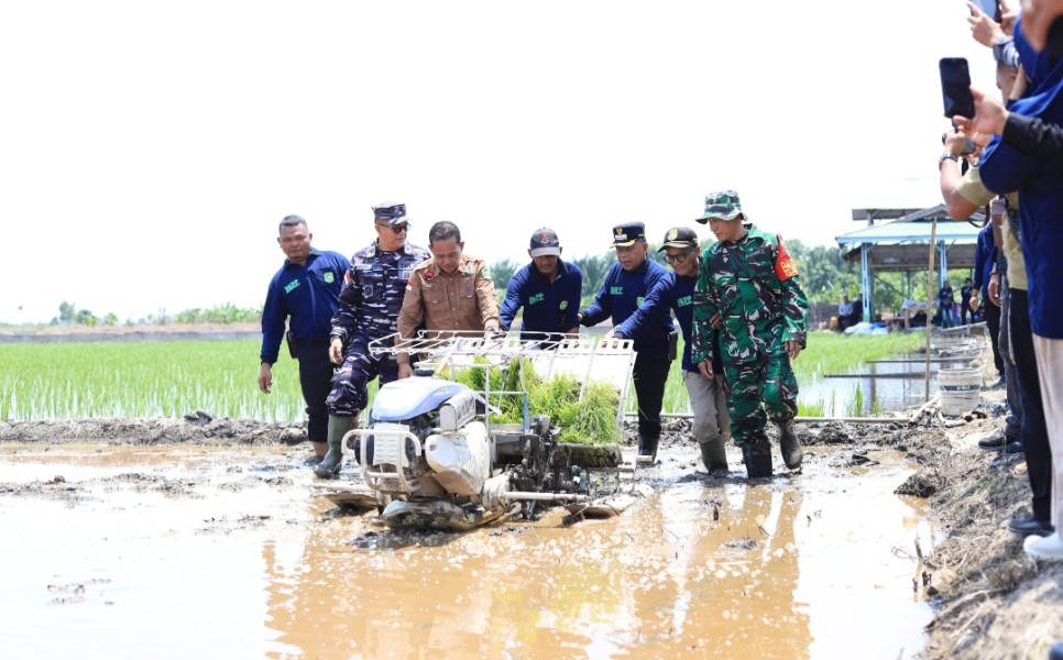 Menuju Swasembada Padi, Meranti Menanam Harapan Baru